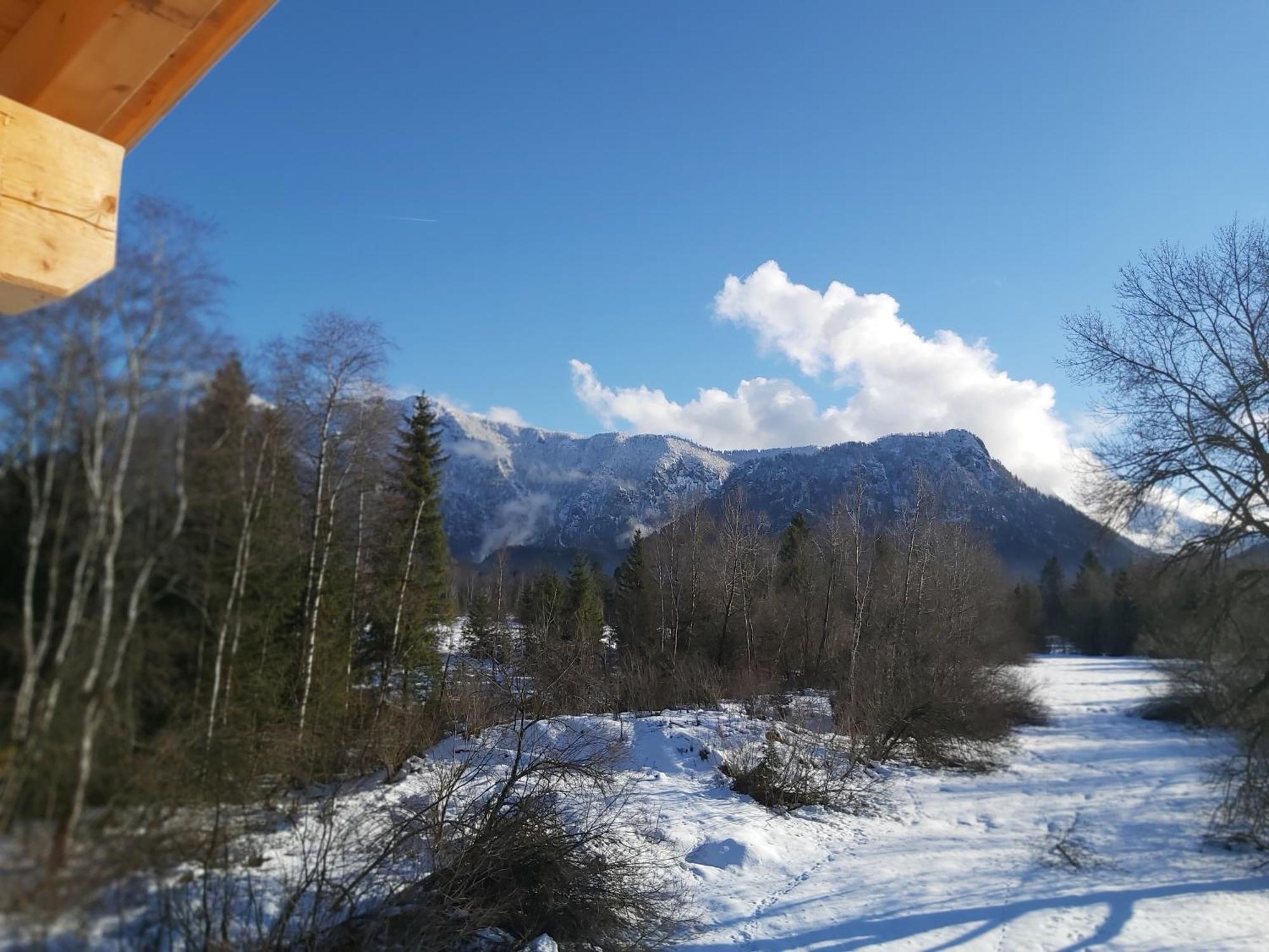 Apartment Andrea - Chiemgau Karte Інцель Екстер'єр фото