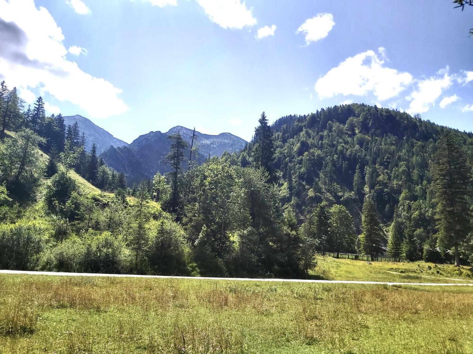 Apartment Andrea - Chiemgau Karte Інцель Екстер'єр фото
