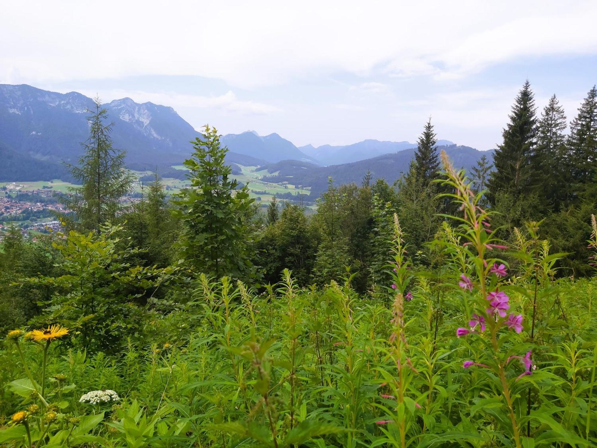 Apartment Andrea - Chiemgau Karte Інцель Екстер'єр фото