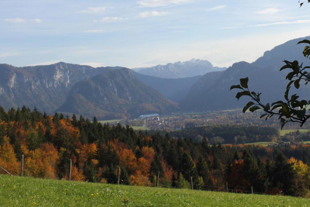 Apartment Andrea - Chiemgau Karte Інцель Екстер'єр фото